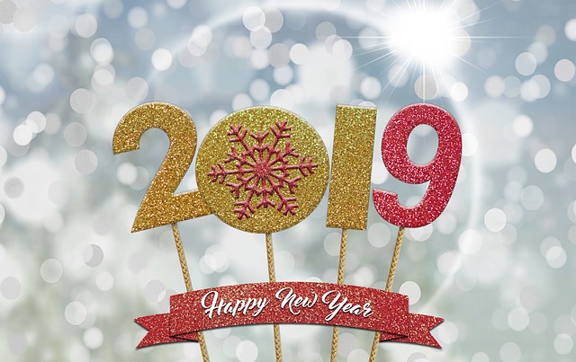 happy year 3848864 640 - Meilleurs vœux pour 2019